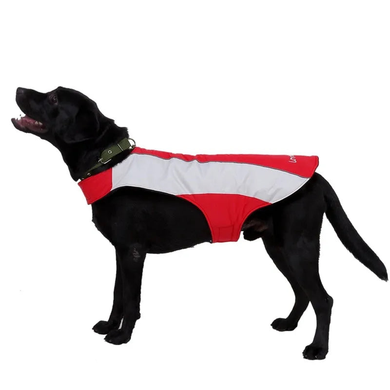 MPet reflective dog coat in blue for large dogs with high-visibility strips for night walks