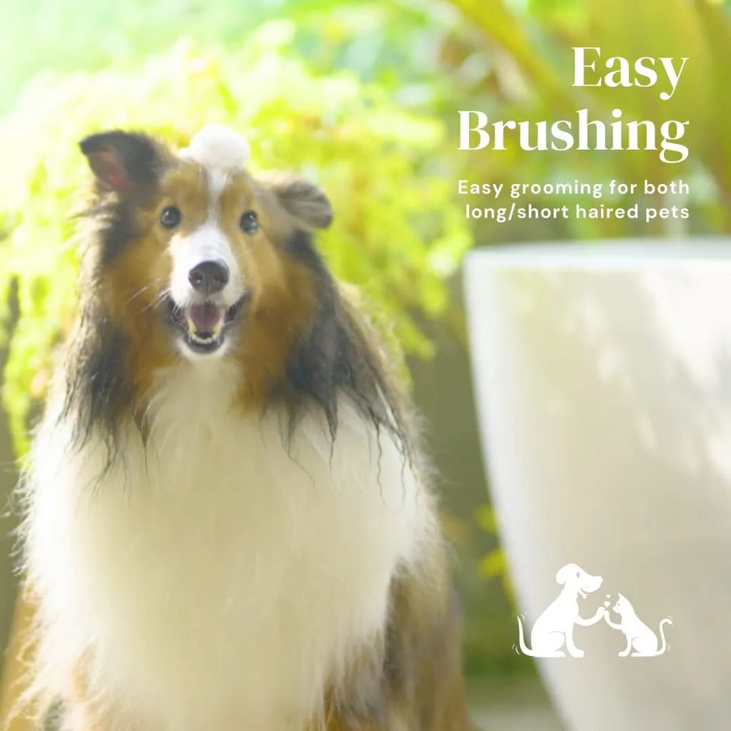 Self-cleaning pet slicker brush with blue ergonomic handle for dog and cat grooming