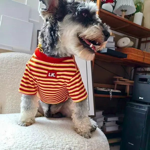 Pet clothing warm cute striped polyester dog coat in blue size M on white background