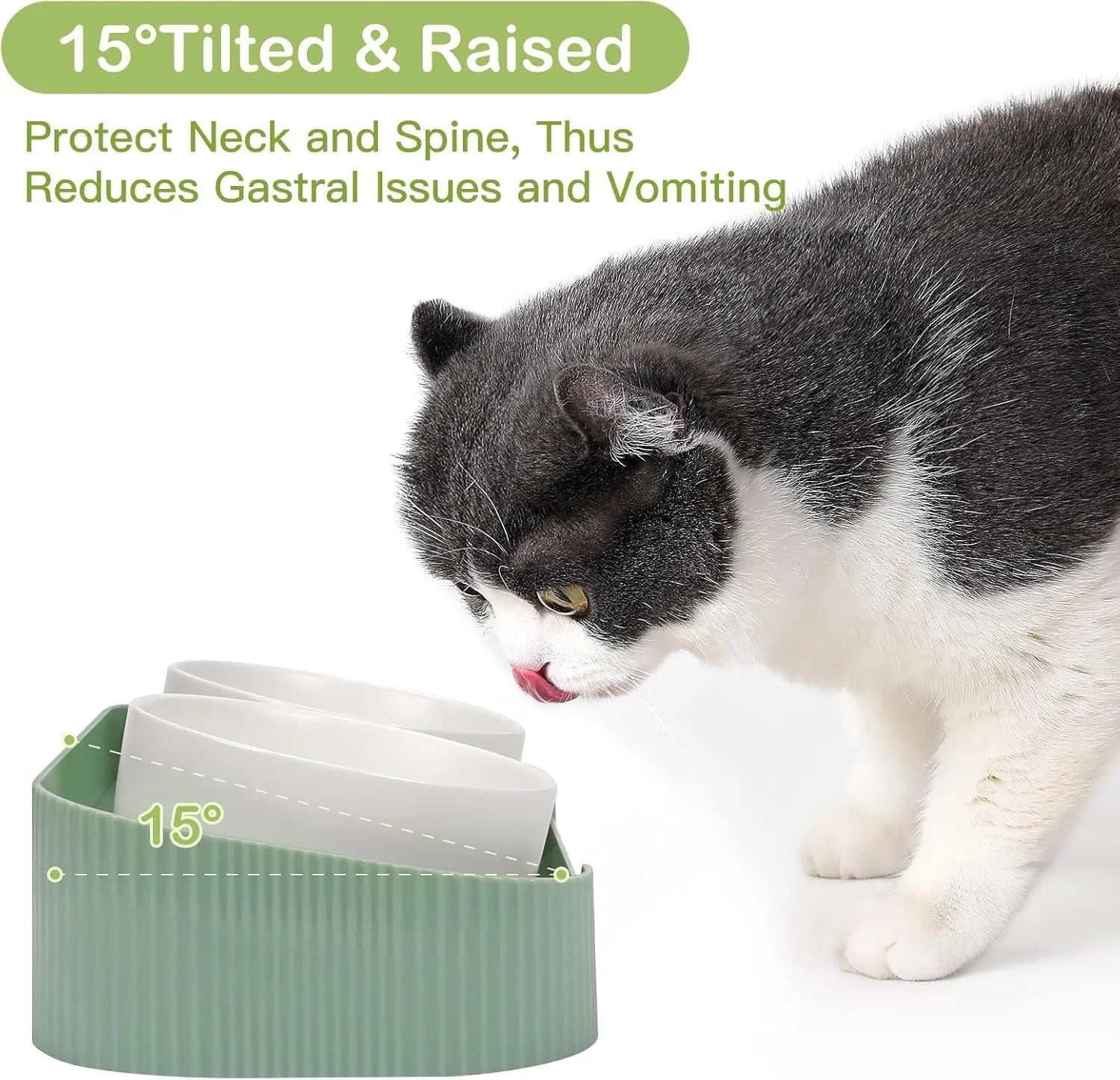 Green ceramic elevated cat bowl set with two dishes on a tilted, non-slip stand