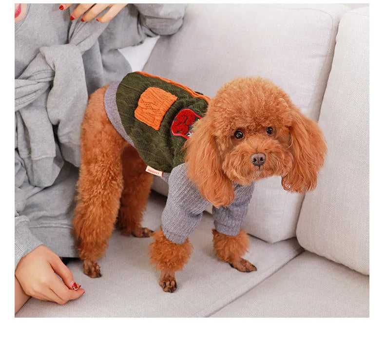 Blue dog sweater on a small breed dog showing cotton knit fabric and pull-on style