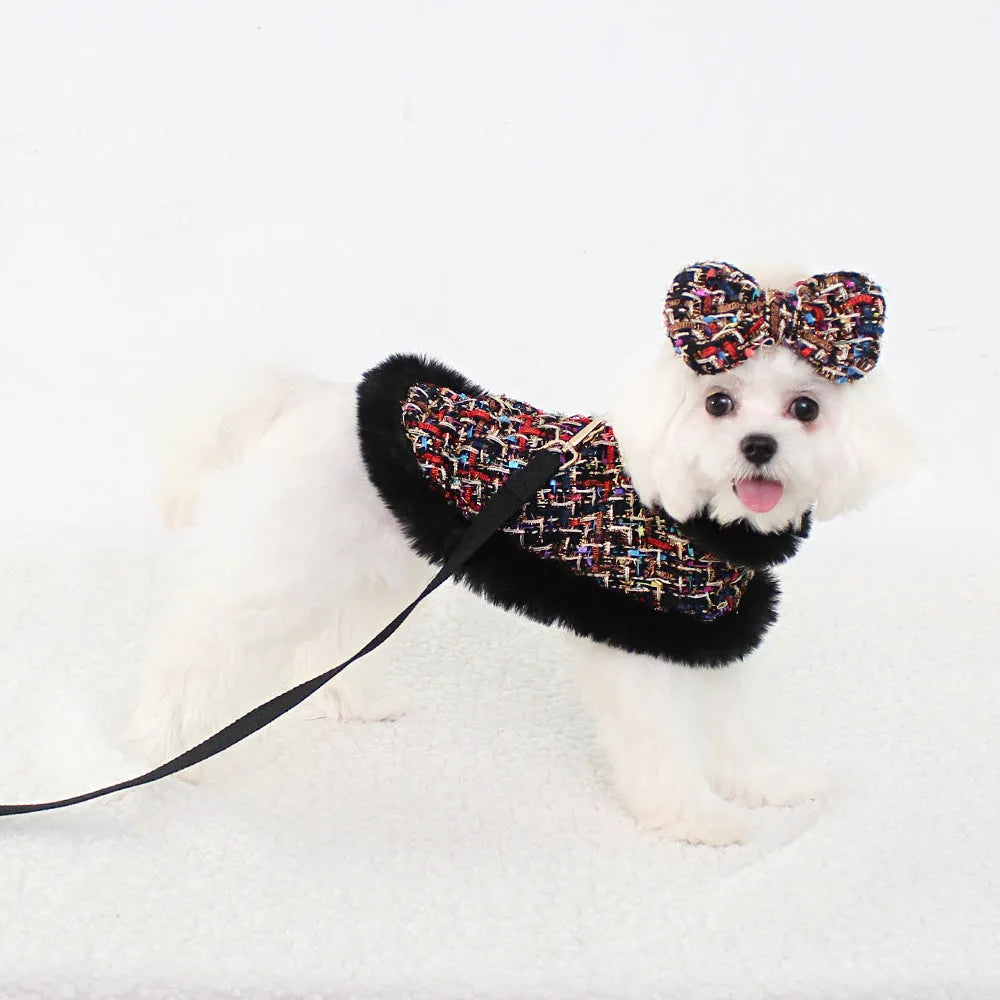 Dog wearing cotton cloth cloak chest strap with integrated hand holding rope pet lead attachment