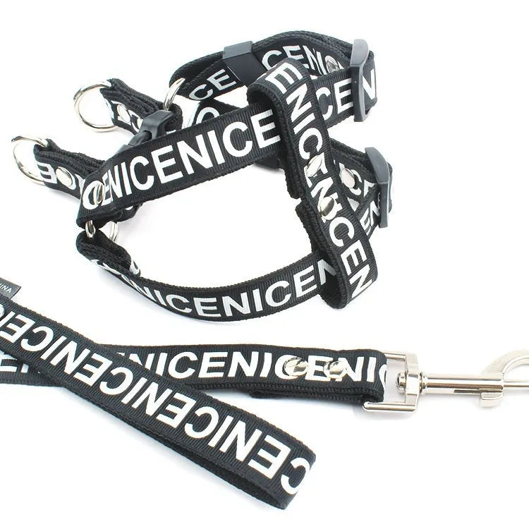 Casual PET polyester traction dog collar in black, red, and yellow options on a white background