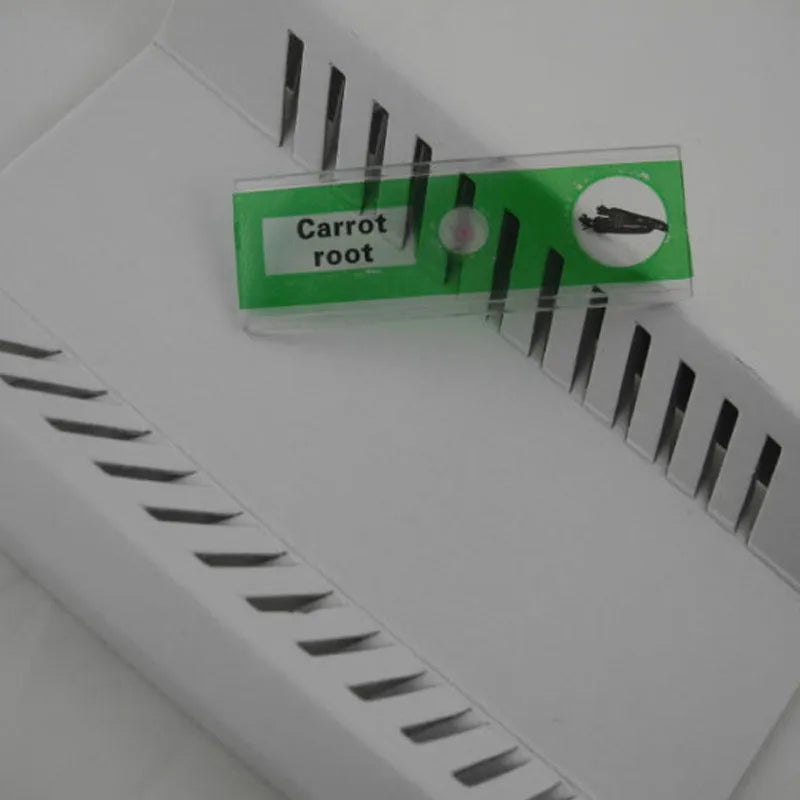 48 plastic microscope slides in red, green, yellow, and blue boxes containing prepared plant and animal specimens