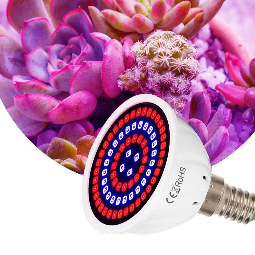 White LED plant growth lamp with 80 beads for indoor potted plants covering 30-80 square centimetre areas