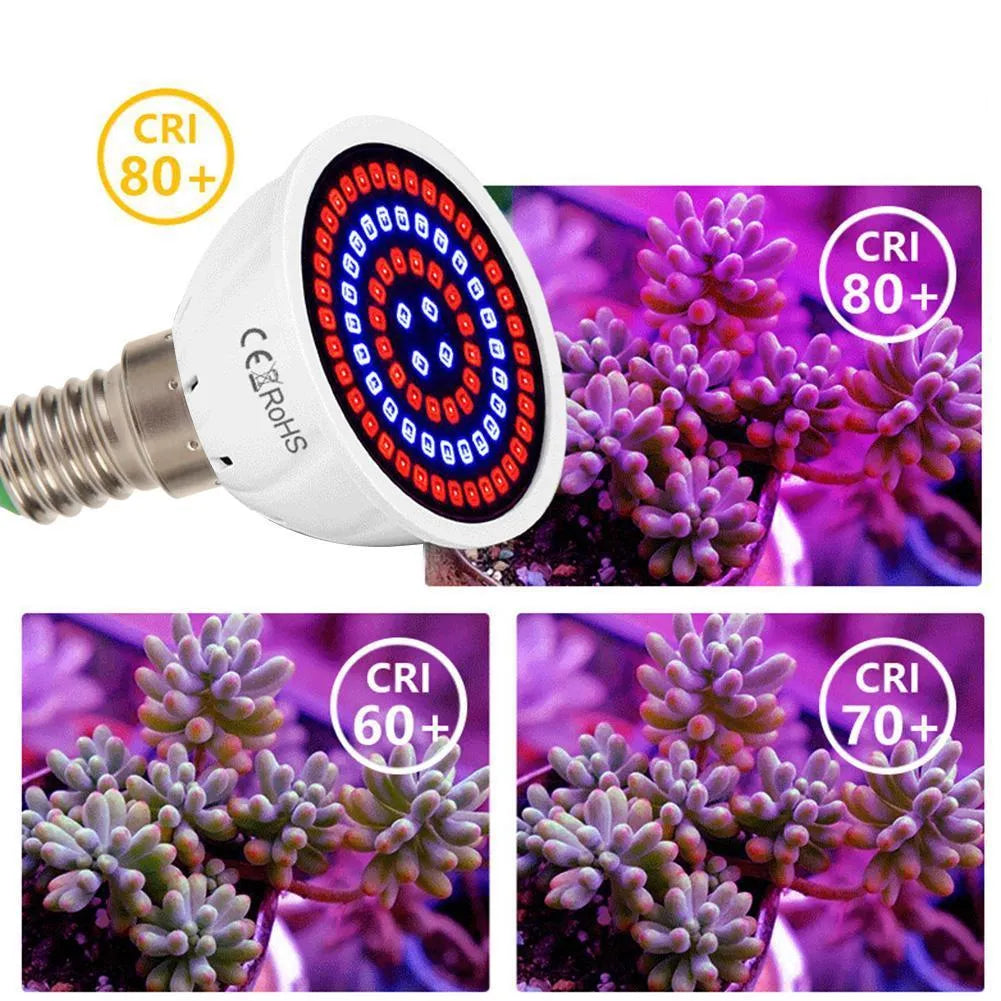 White LED plant growth lamp with 80 beads for indoor potted plants covering 30-80 square centimetre areas
