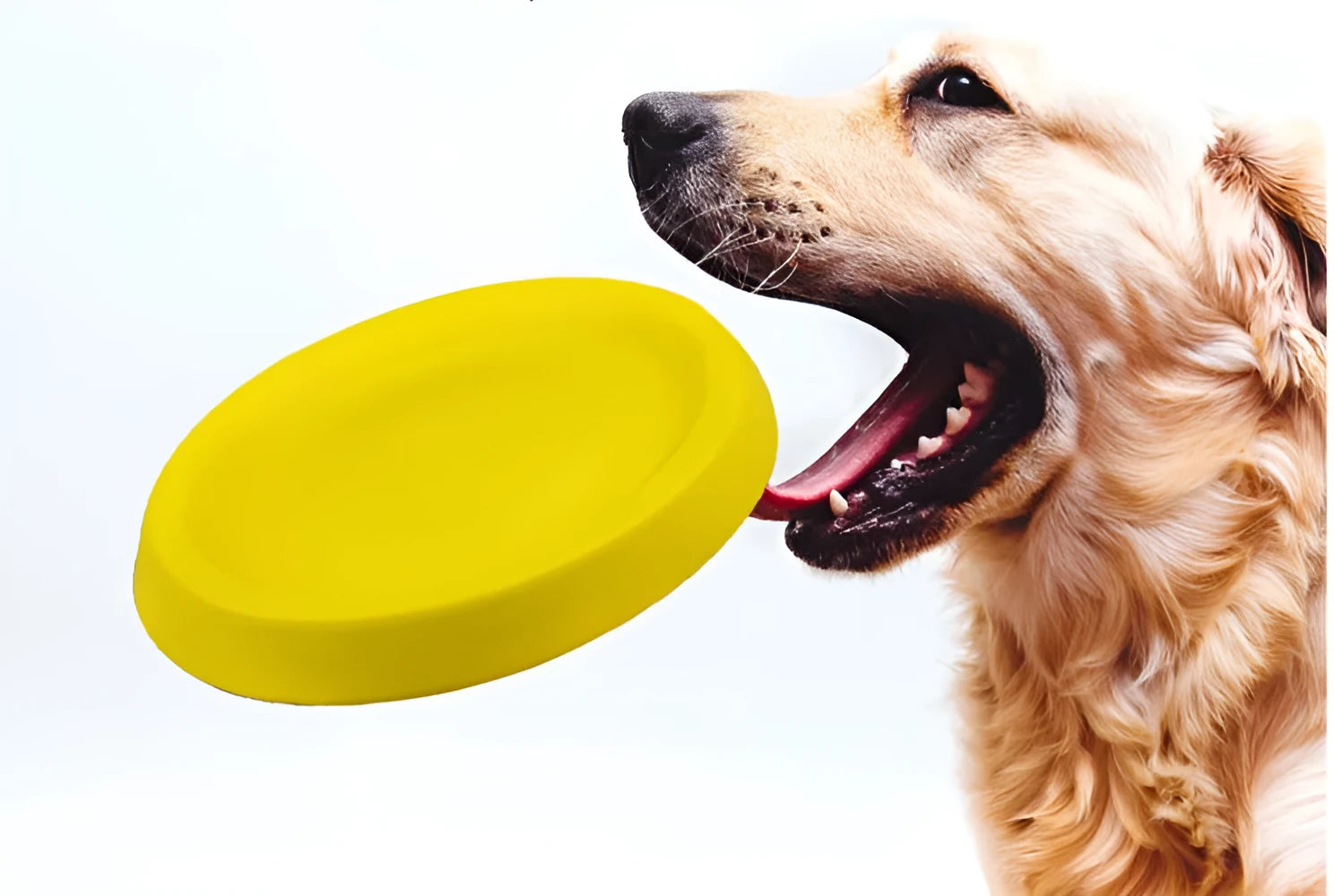 Yellow EVA dog throwing toy for training and interactive play sessions
