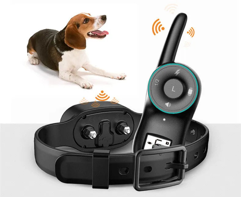 Black and orange waterproof remote-controlled dog training collar with rechargeable unit.