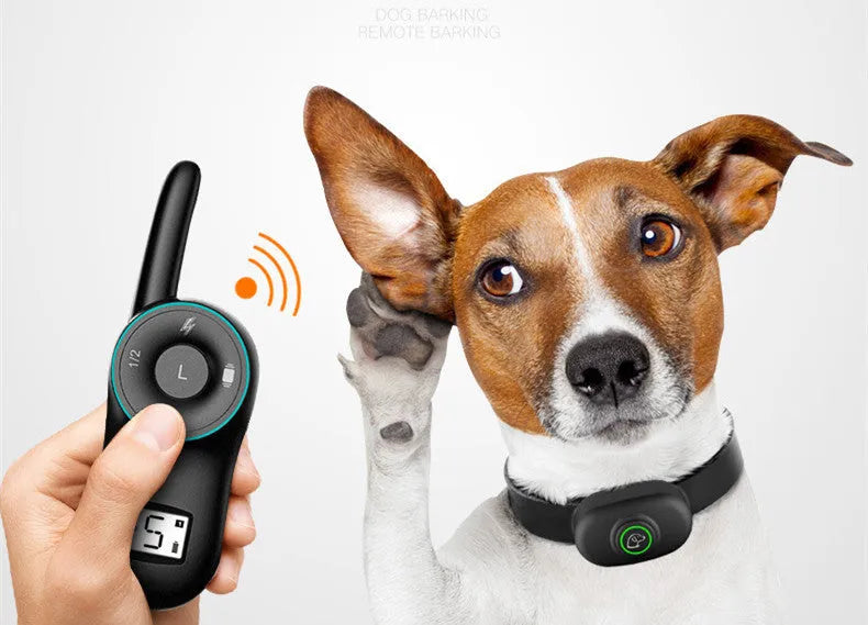 Black and orange waterproof remote-controlled dog training collar with rechargeable unit.