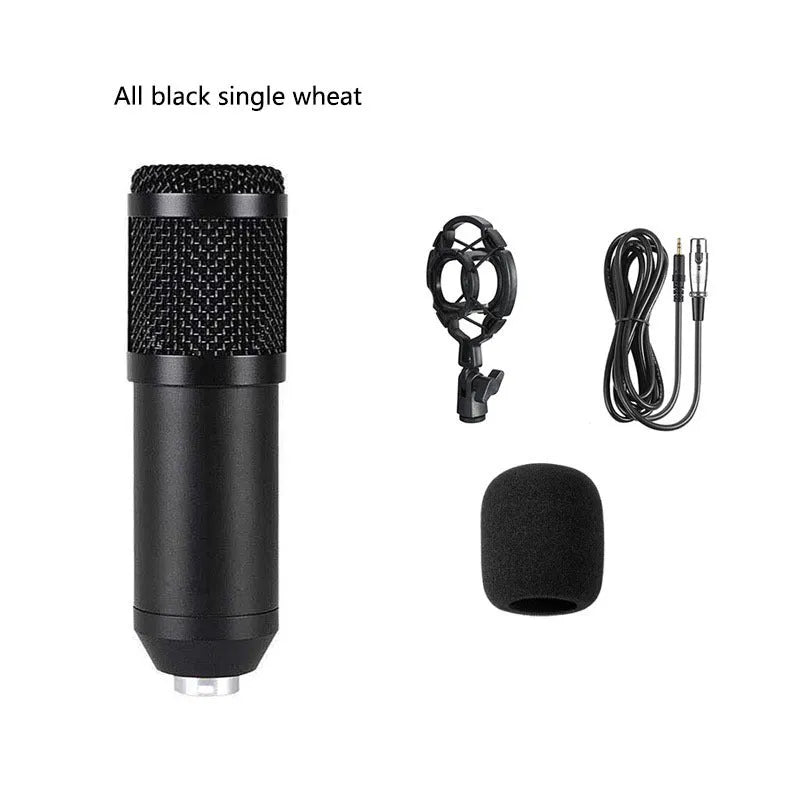 BM800 condenser microphone with V8 sound card, mounting bracket, and accessories for live broadcast setup