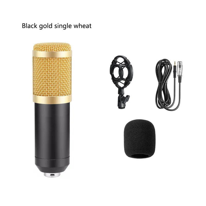 BM800 condenser microphone with V8 sound card, mounting bracket, and accessories for live broadcast setup