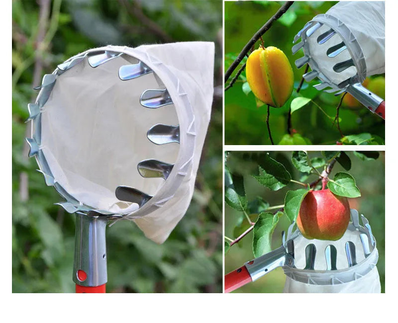 Steel frame fruit picker with cloth bag collector for harvesting garden fruits