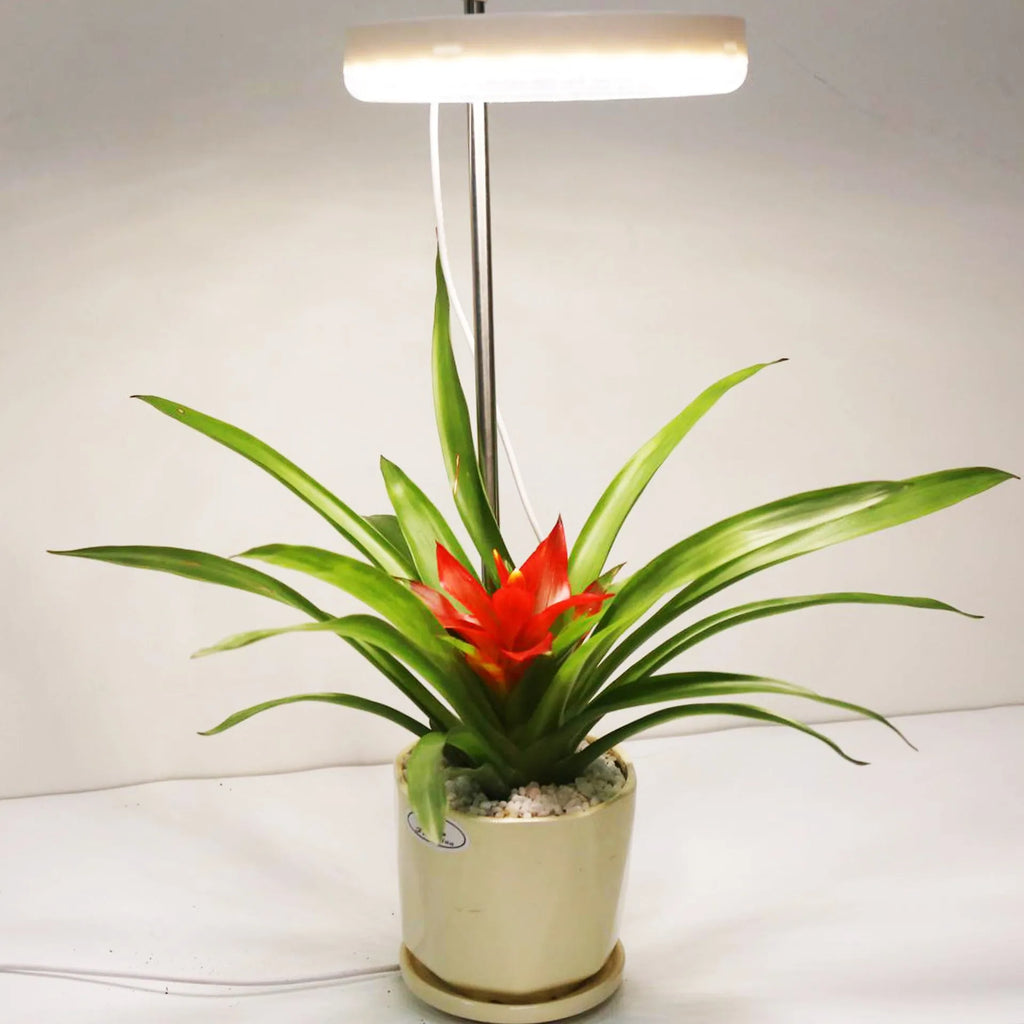 Adjustable desk plant growth lamp with full spectrum light for indoor gardening