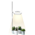 Adjustable desk plant growth lamp with full spectrum light for indoor gardening