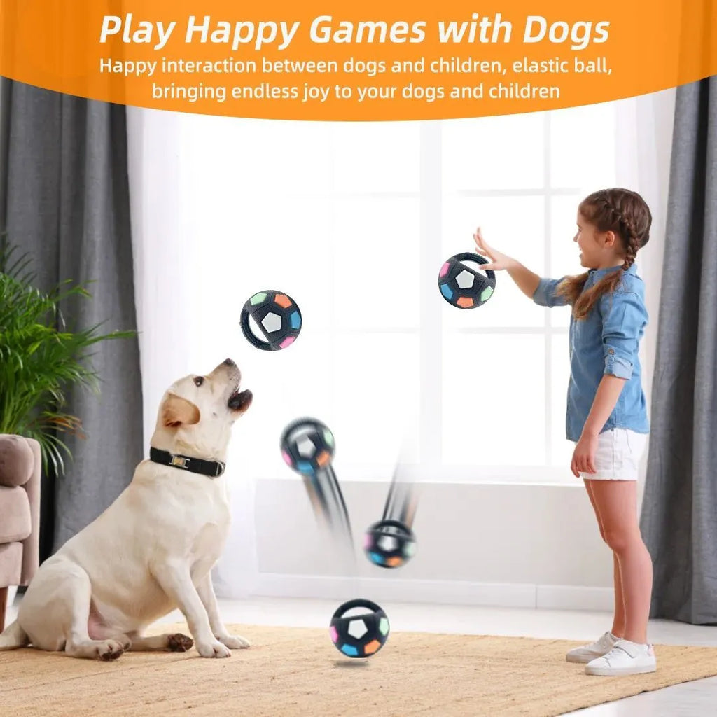 Black football-shaped tennis ball dog toy with squeaker for outdoor fetch