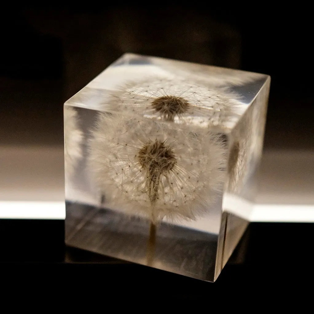 5cm clear resin cube with preserved dandelion inside, wooden box, and USB charging base