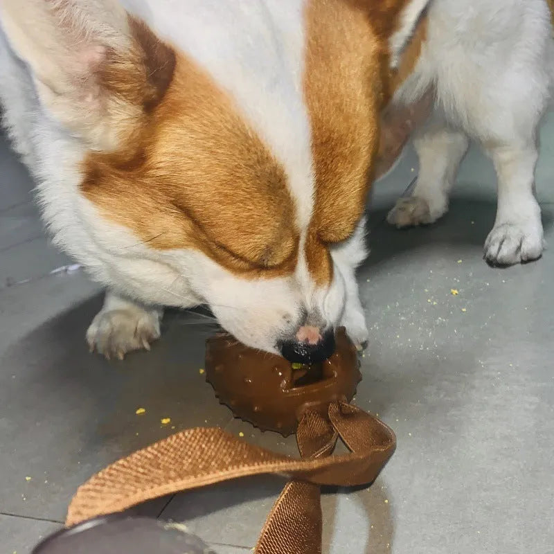 Coffee bean shaped TPR dog toy with rope knot for tooth cleaning