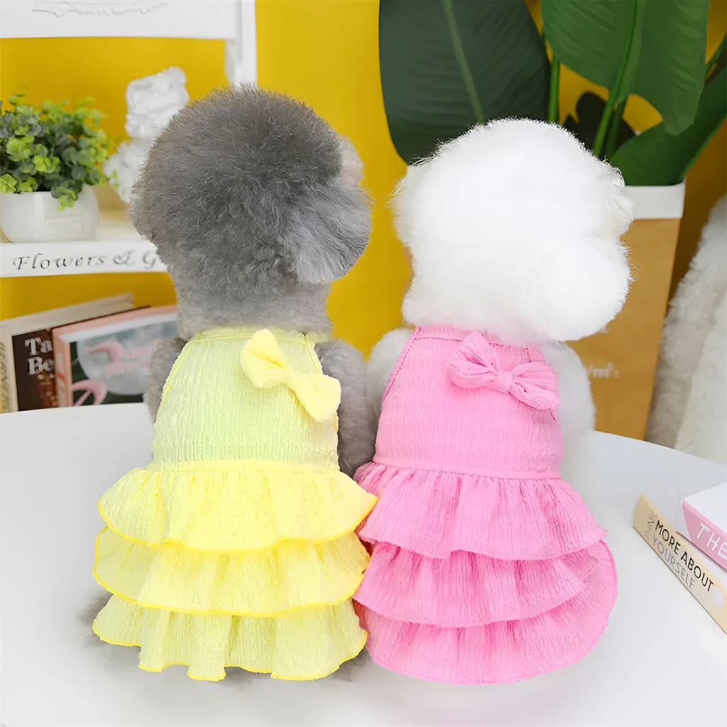 Small dog wearing polyester princess dress with layered skirt in candy colours