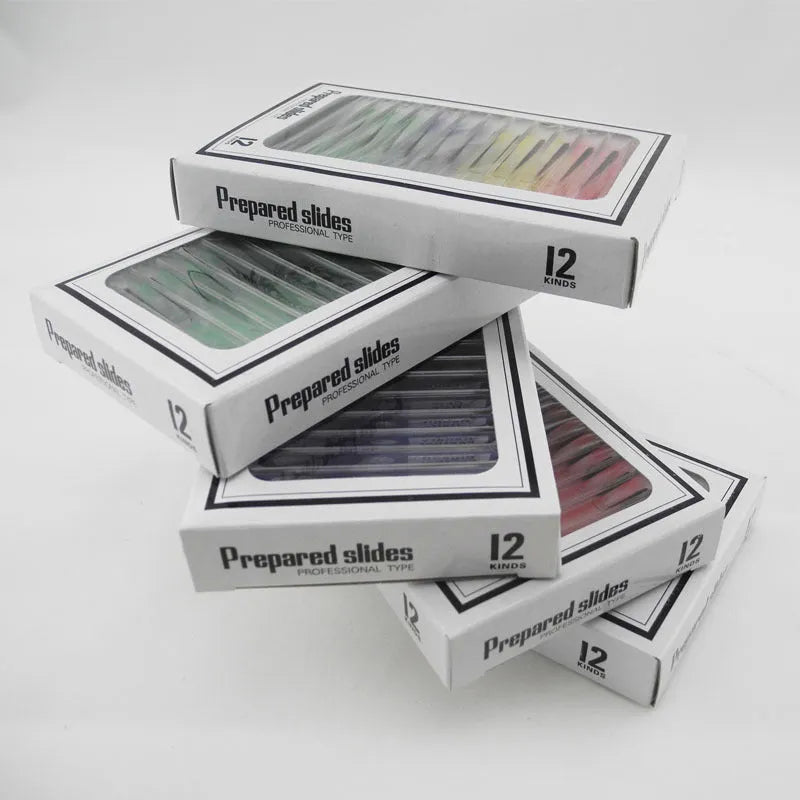 48 plastic microscope slides in red, green, yellow, and blue boxes containing prepared plant and animal specimens