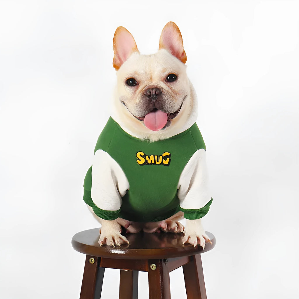 A green cotton dog jumper for autumn and winter wear, shown in size L to 4XL.