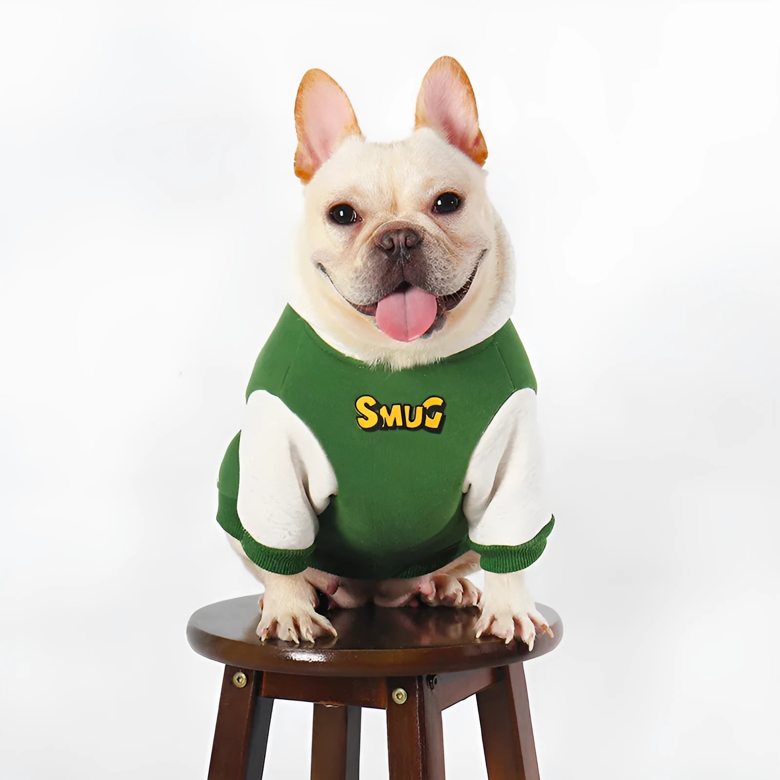 A green cotton dog jumper for autumn and winter wear, shown in size L to 4XL.