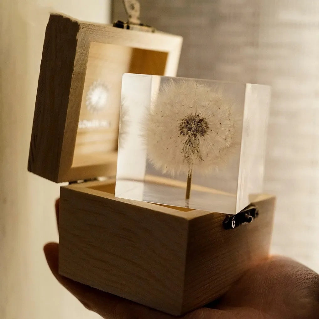 5cm clear resin cube with preserved dandelion inside, wooden box, and USB charging base