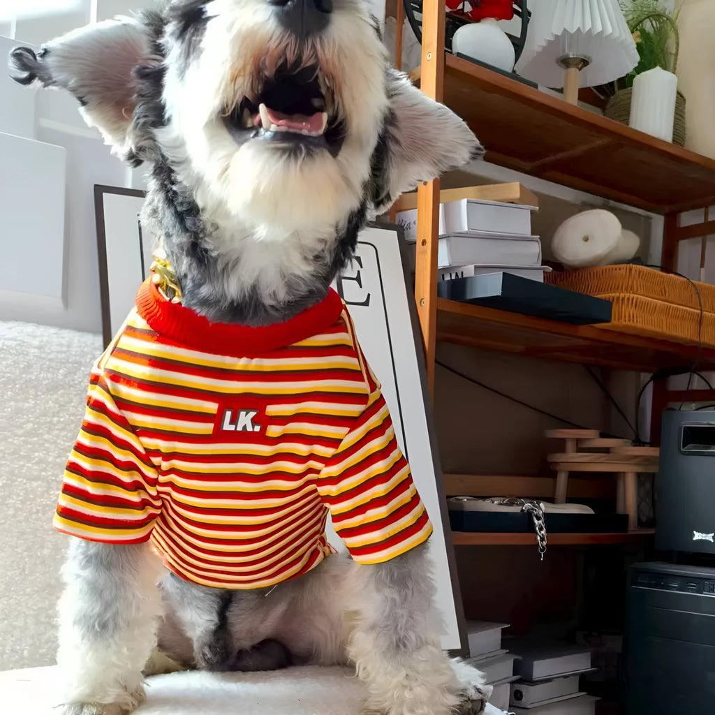 Pet clothing warm cute striped polyester dog coat in blue size M on white background