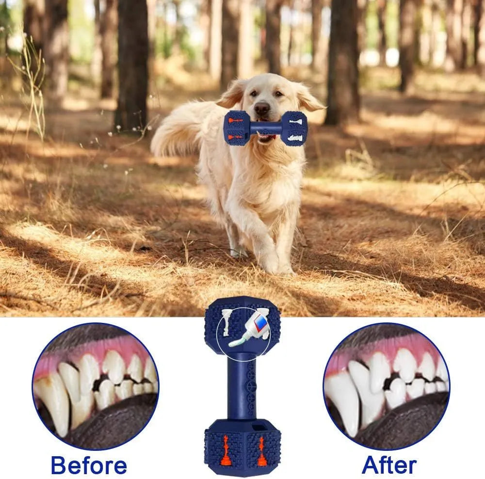 Natural rubber dog chew toy with hollow dumbbell design in black or blue colours
