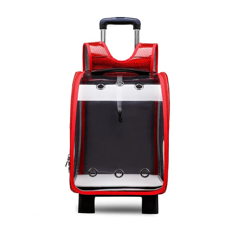 Transparent pet trolley shoulder bag with folding design for small dogs and cats