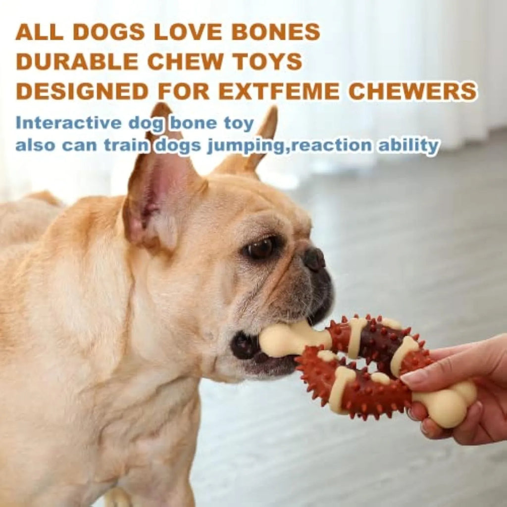 Bone-shaped natural rubber dog chew toy in large and small sizes for teeth grinding