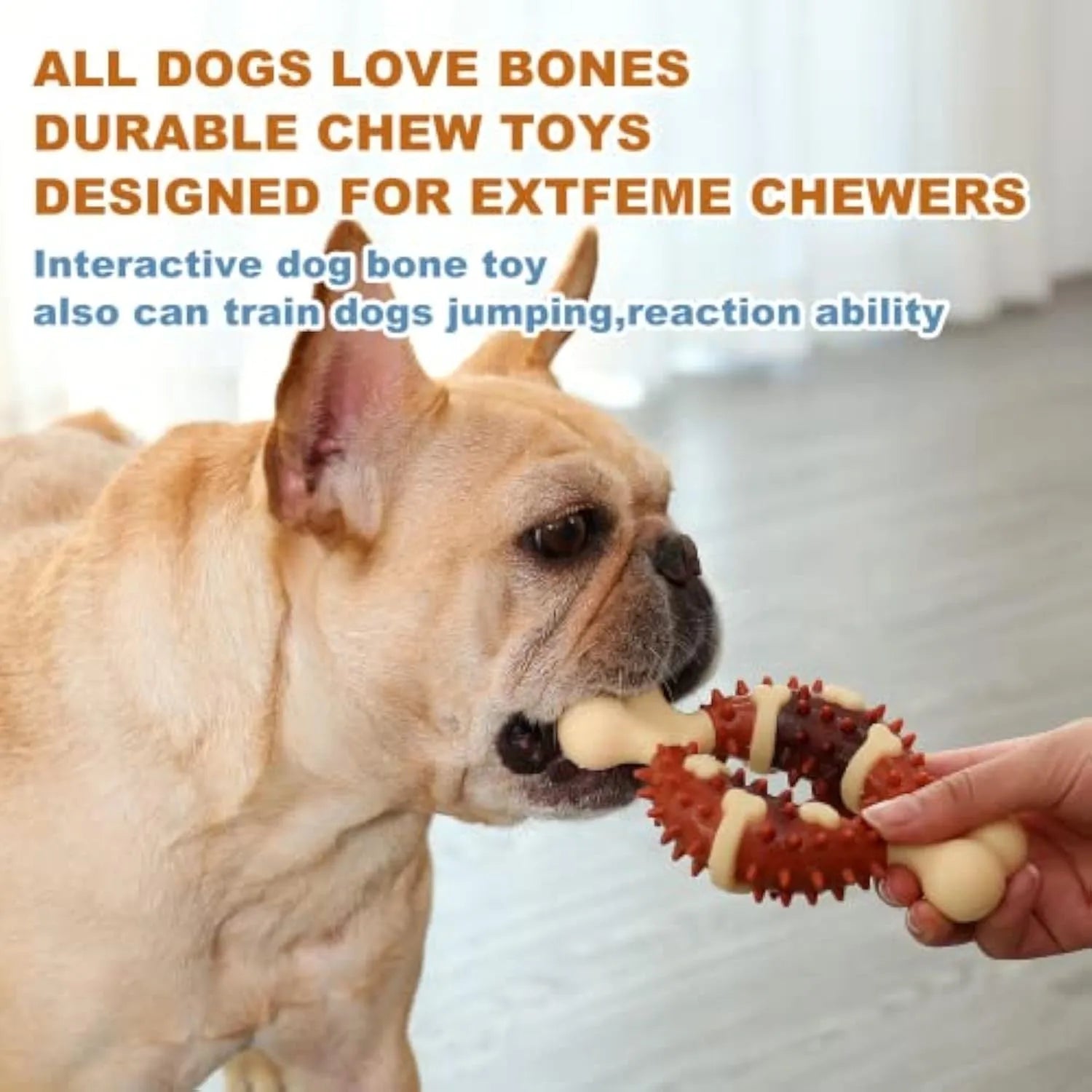 Bone-shaped natural rubber dog chew toy in large and small sizes for teeth grinding