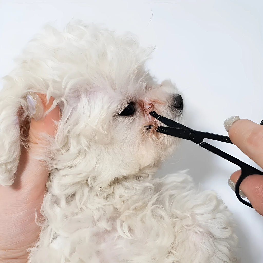 Black pet grooming brush with soft silicone bristles for eye cleaning and comb attachment for hair removal