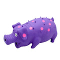 Blue latex pig-shaped dog chew toy with textured surface and squeaker