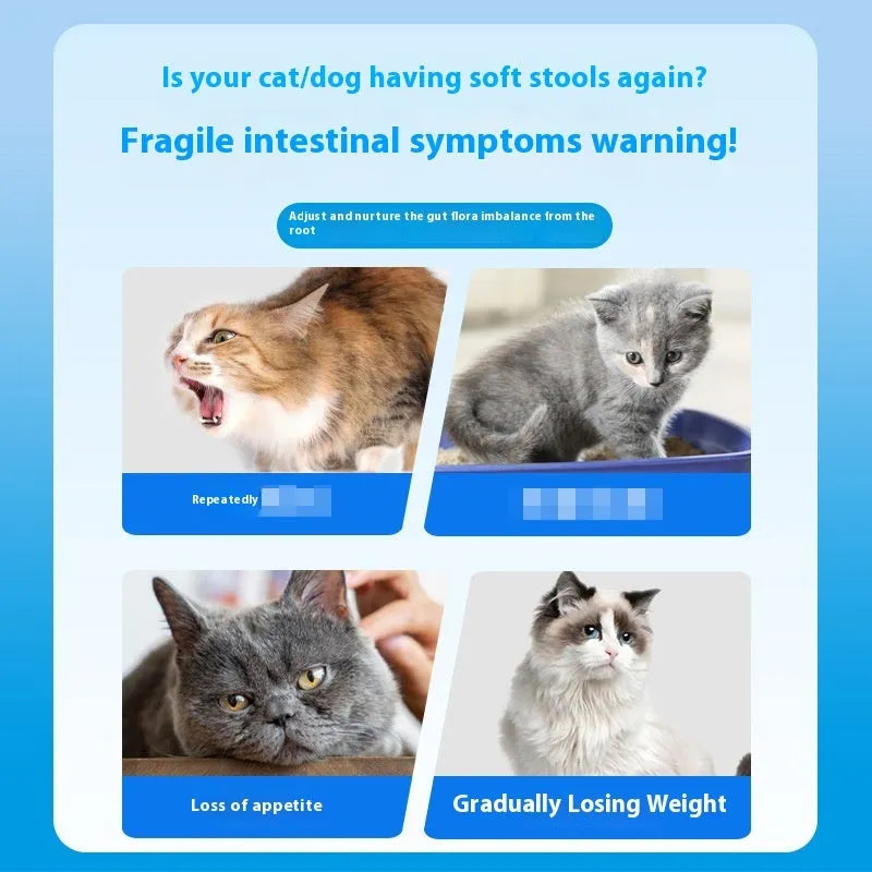 Bottle of pet probiotic tablets labelled 180 count for dog and cat digestive health