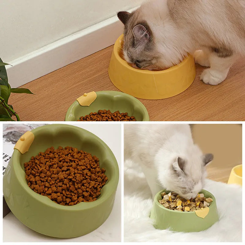 Green plastic double pet bowl with flower shape and separate food and water compartments.