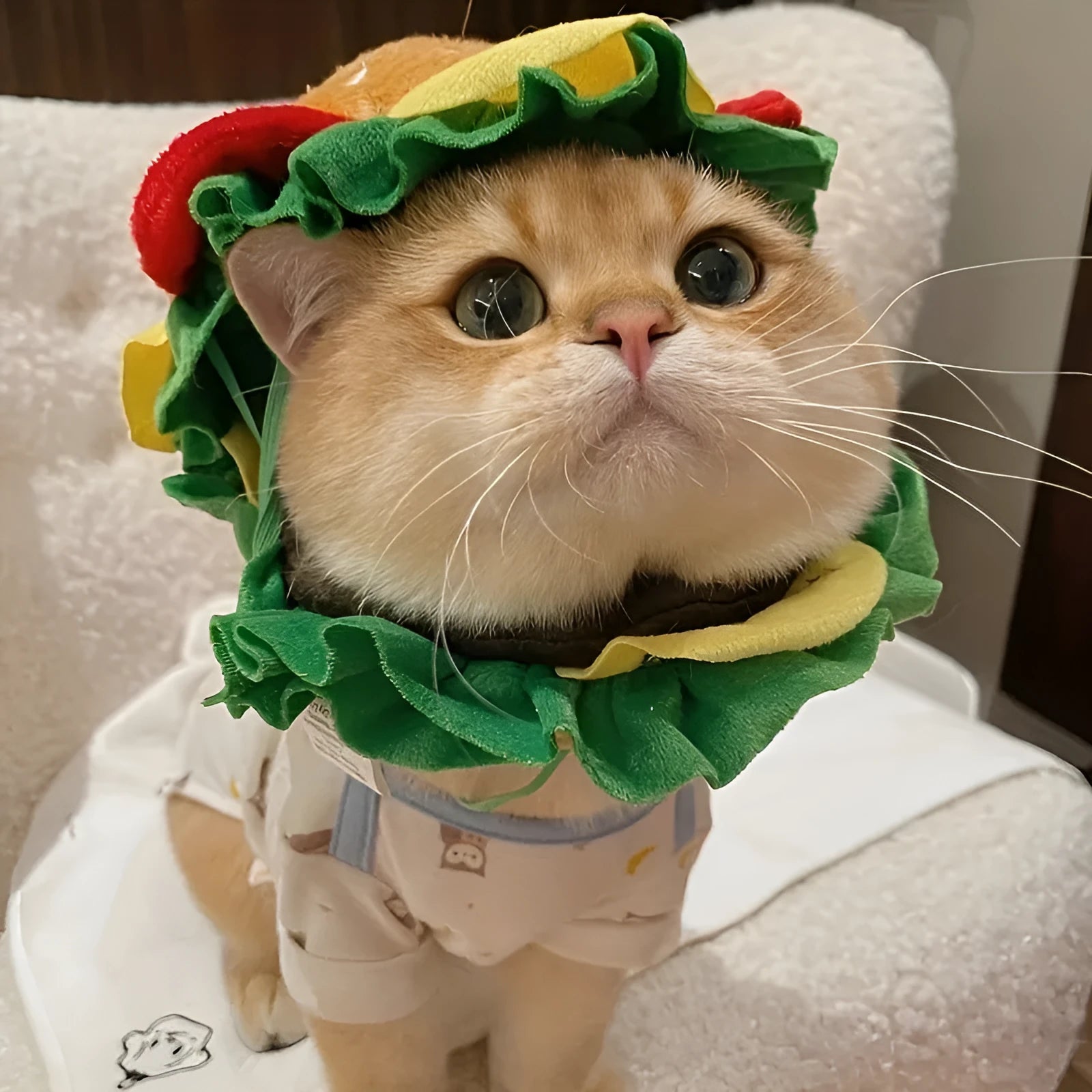 Cat wearing burger headdress collar with cartoon hamburger design and elastic strap