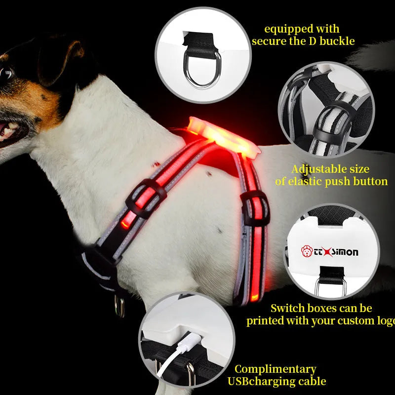 Nylon luminous dog lead with seven-colour changing LED light and charging port