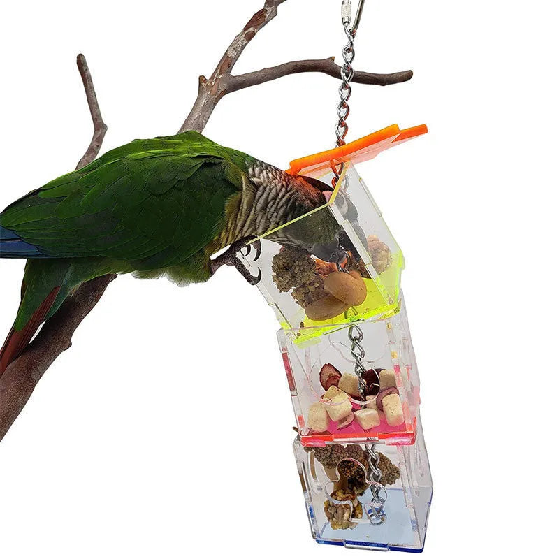 Clear acrylic parrot foraging toy, a long hollow tube for hiding bird food.