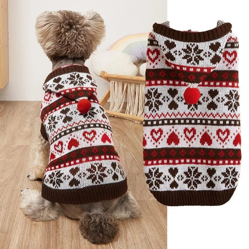 Striped camouflage dog sweater on small Bichon breed in pink colour
