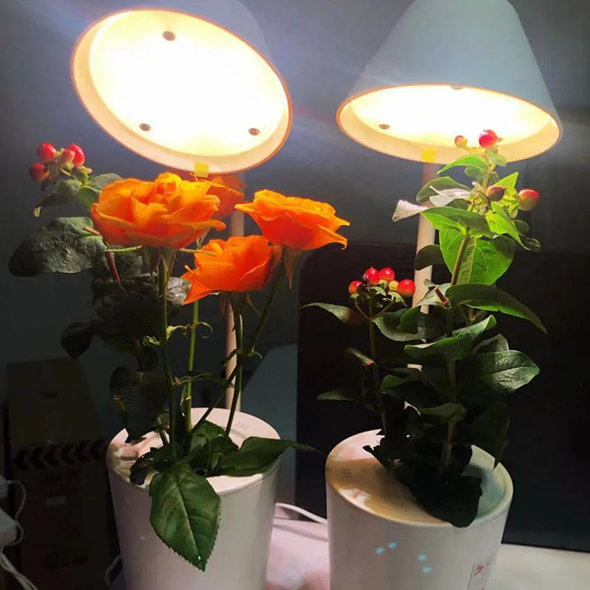 White plastic desktop hydroponic container for soilless plant growth.