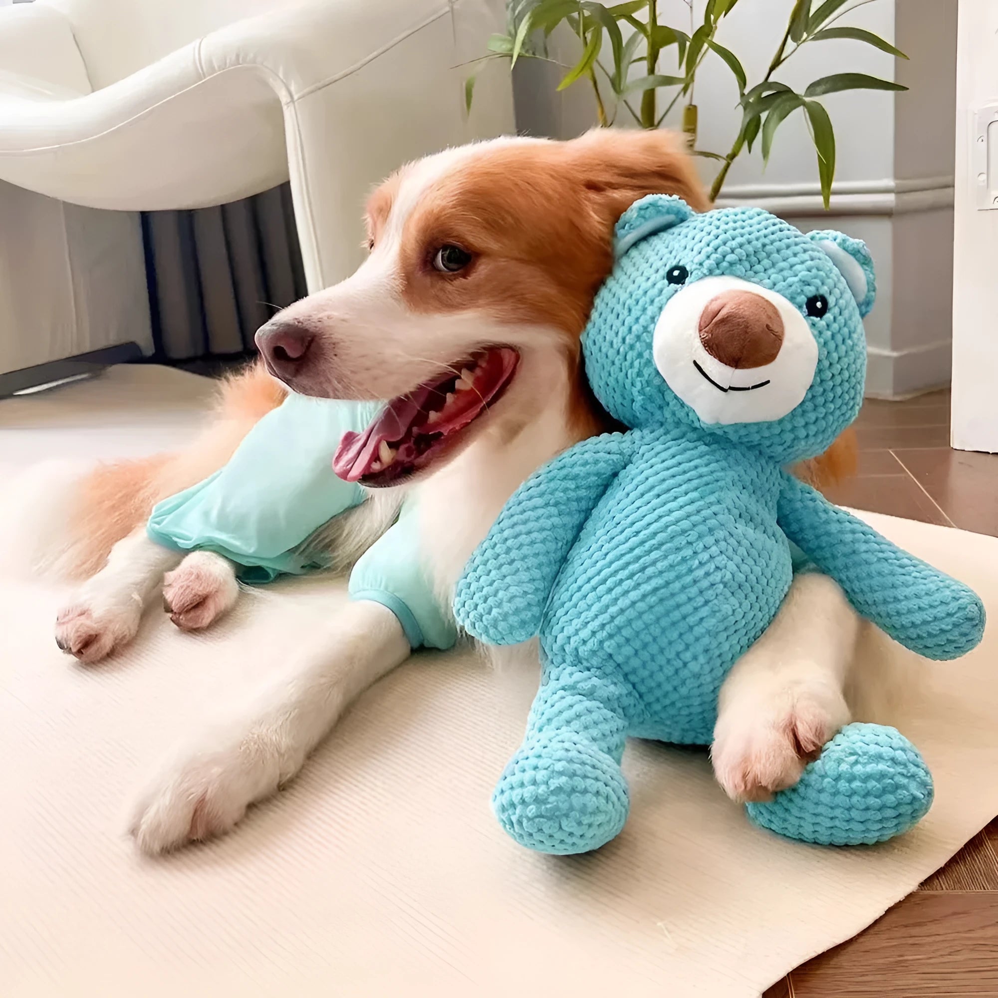 Soft plush squeaky bear dog toy for chewing and molar training, sizes M and L