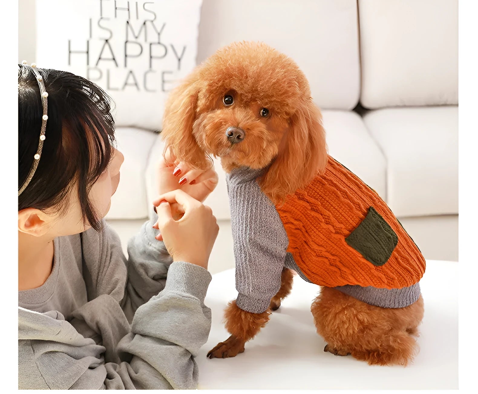 Blue dog sweater on a small breed dog showing cotton knit fabric and pull-on style