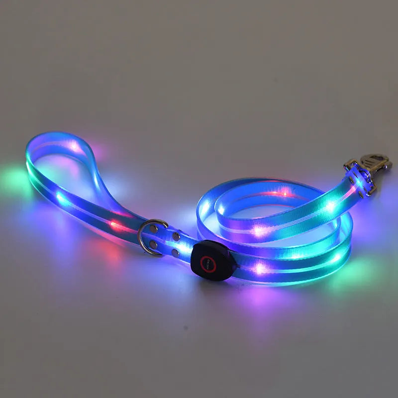 LED luminous pet collar and nylon tow rope set in black with USB charging cable, adjustable 35-55cm collar