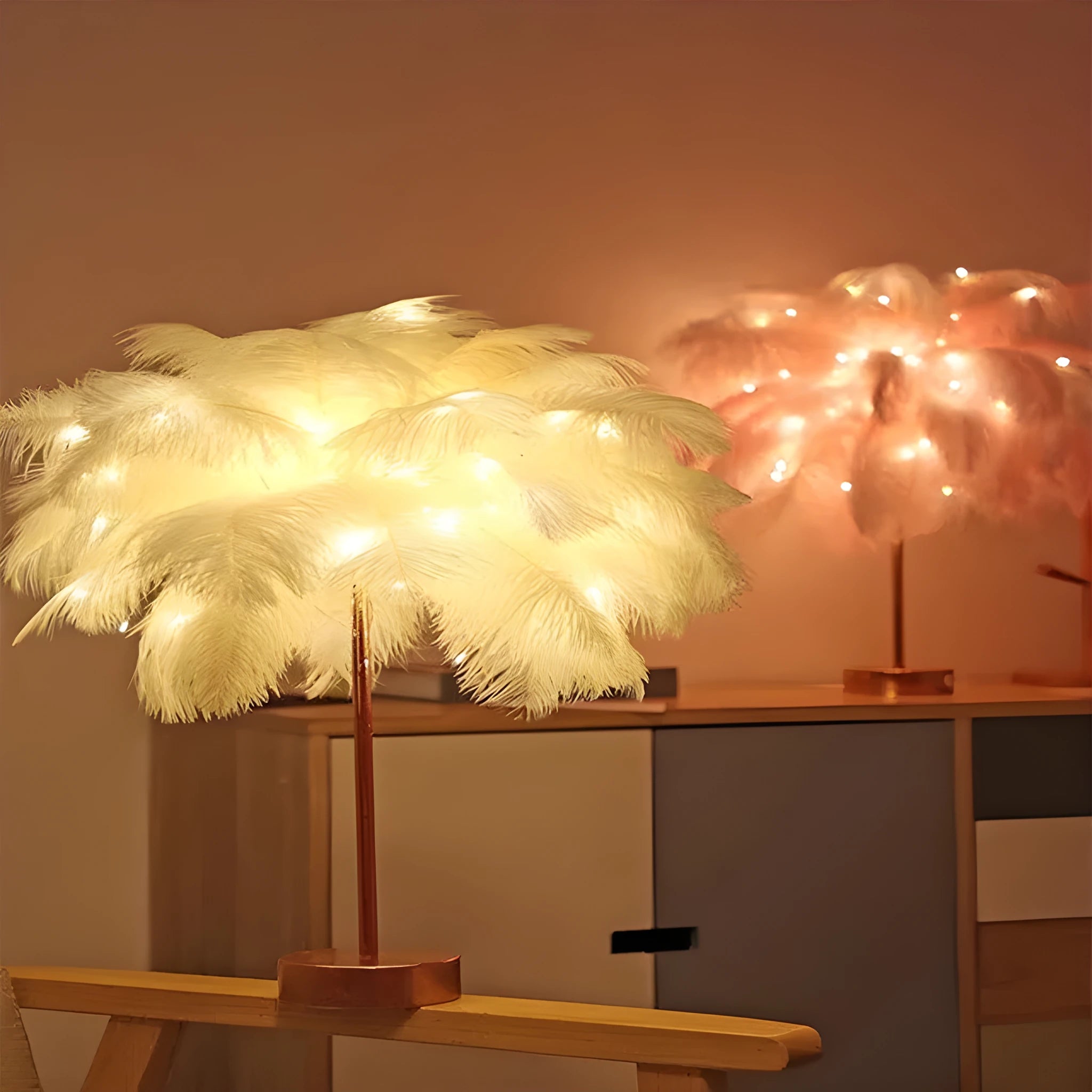 Feather lamp with remote control, USB and battery power, soft night light for bedside or desk