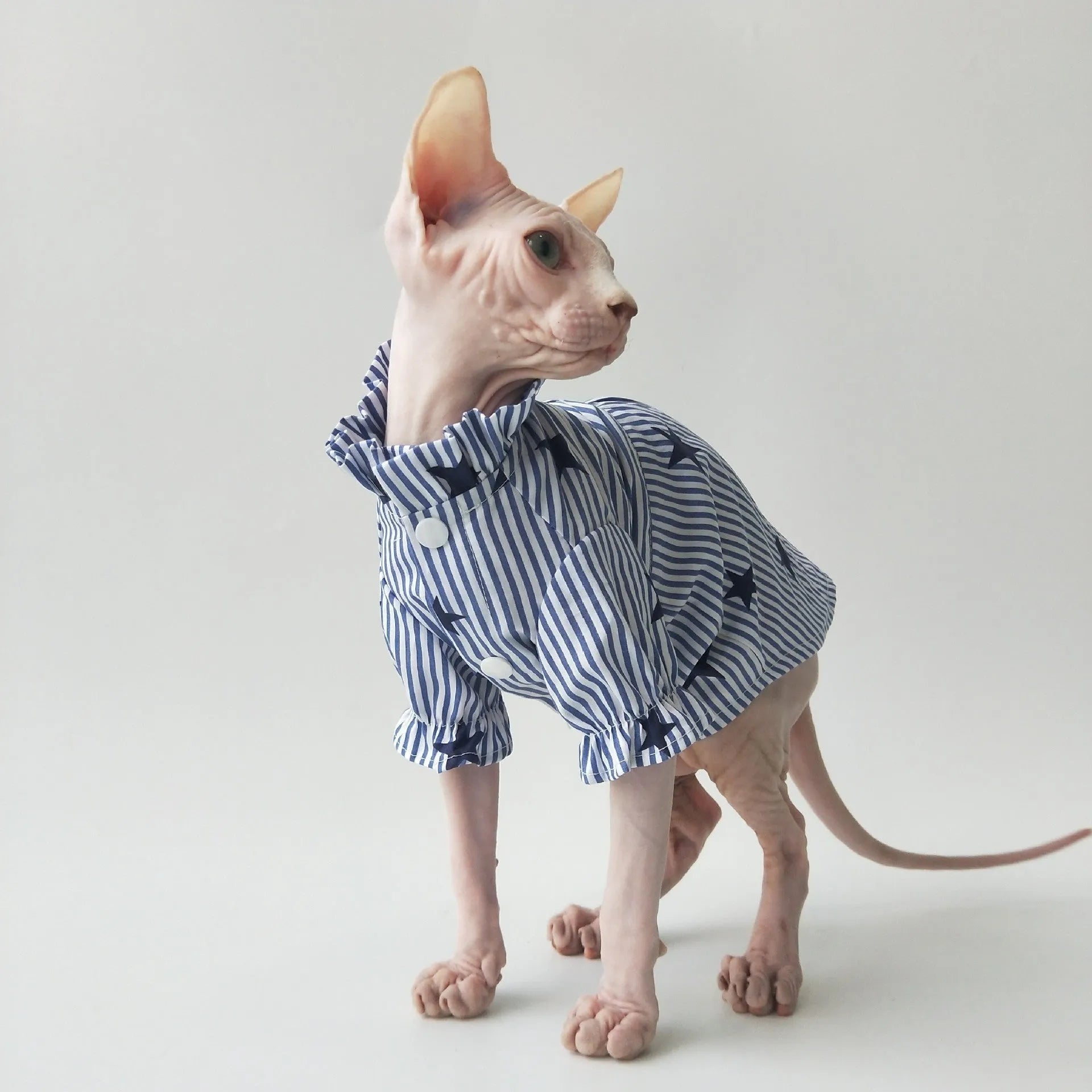 Casual thin cotton shirt for Sphinx hairless cats in breathable design
