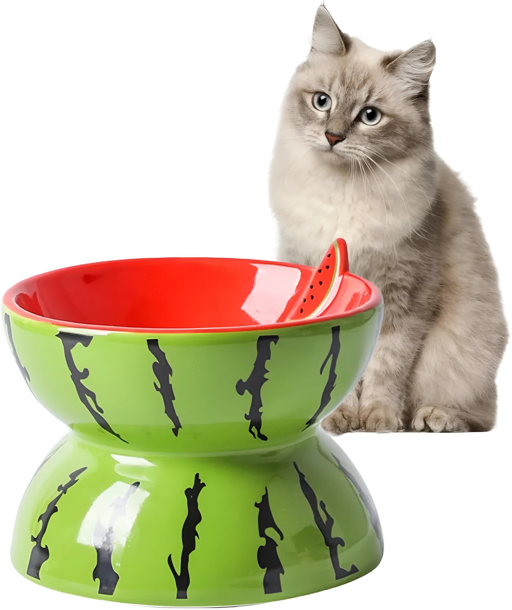 Ceramic raised cat food bowl with tilted design in a colourful pattern, showing slip-resistant base.