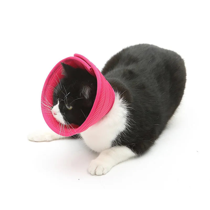 Transparent non-woven fabric pet medical recovery collar for dogs and cats