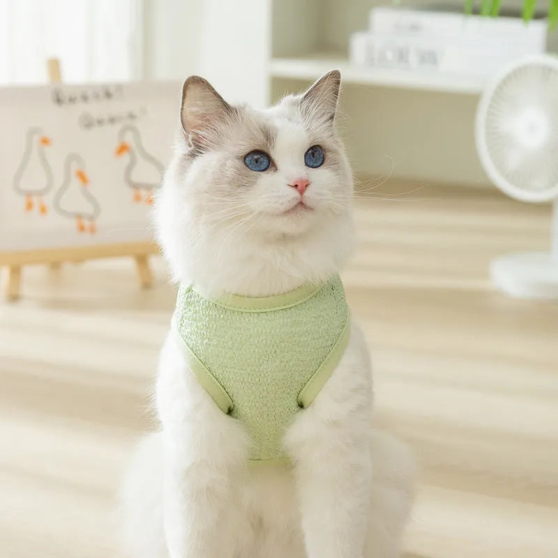Blue knitted cat clothing with a bear patch, showing hollowed-out breathable design