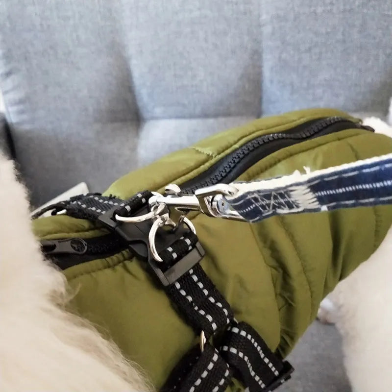 Red waterproof dog coat with harness attachment for a large breed dog in winter.