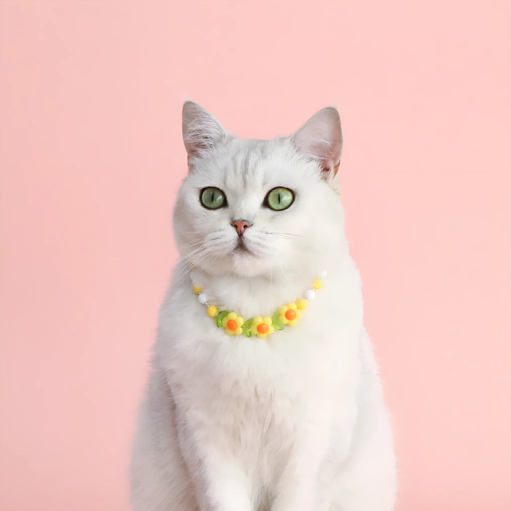 Colourful plastic pearl pet necklace with flower beads for cats and small dogs